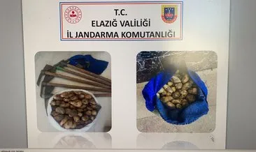 Salep soğanı toplayan 5 kişi yakalandı