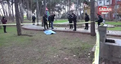 Son dakika! Adana’da çocuk parkında dehşete düşüren görüntü... Öldürülmüş olarak bulundu | Video
