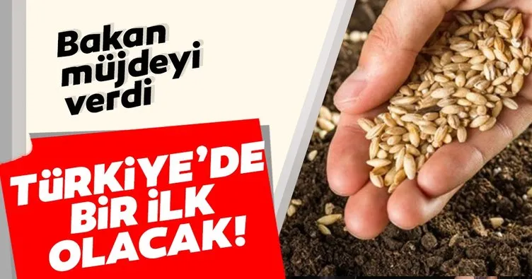 Bakan Varank: İlk özel tohum sertifikasyon merkezi Nevşehir’de kurulacak