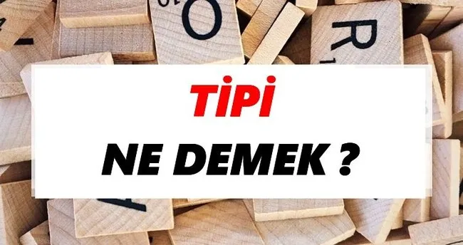 Tipi Ne Demek? TDK’ya Göre Tipi Sözlük Anlamı Nedir?
