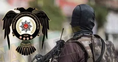 Şanlıurfa’da 1 DEAŞ üyesi yakalandı