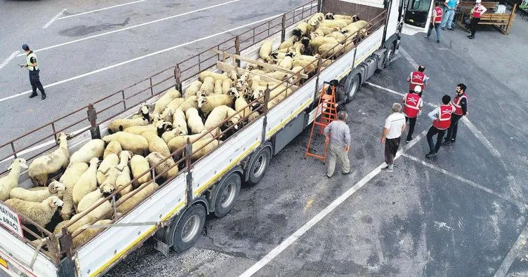 İstanbul girişinde kurbanlık denetimi