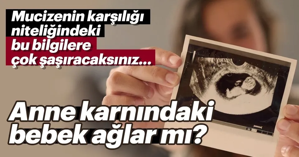 anne karnindaki bebek aglar mi sayfa 5 hamilelik haberleri