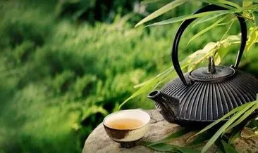 En çok tüketilen bitki çaylarından biri olan yeşil çayın faydaları: Yeşil çay neye iyi gelir?