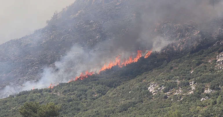 Kaş’ta orman yangını!