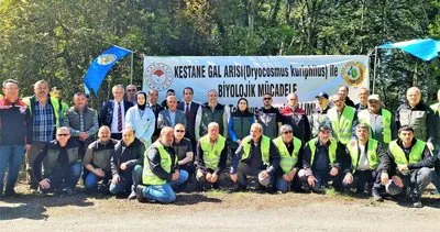 Bartın’da 2.500 adet Torymus sinensin salındı #bartin