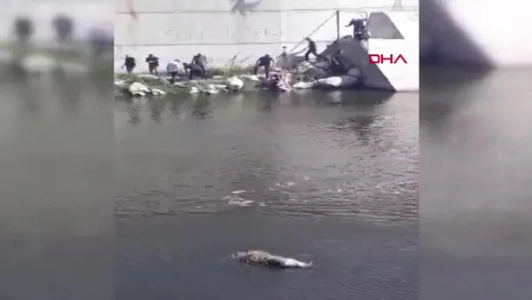 Hatay'da, Asi Nehri'nde ceset bulundu