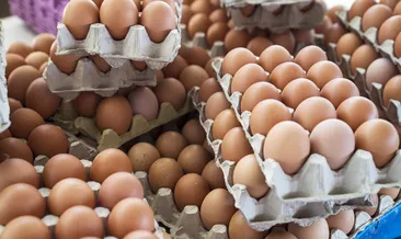 Organik yumurtayı ayırt etme yolları