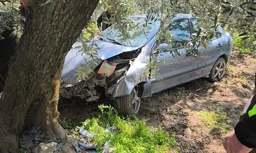 Köpeğe çarpmamak için zeytin tarlasına uçtu: Durumu ciddiyetini koruyor! #bursa