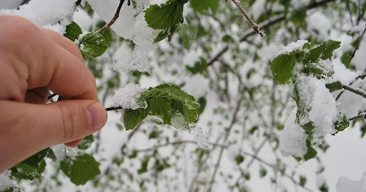 Meteoroloji, zirai don riskine karşı uyardı