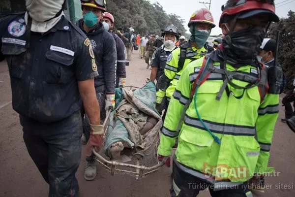 Korkunç görüntüler ortaya çıktı