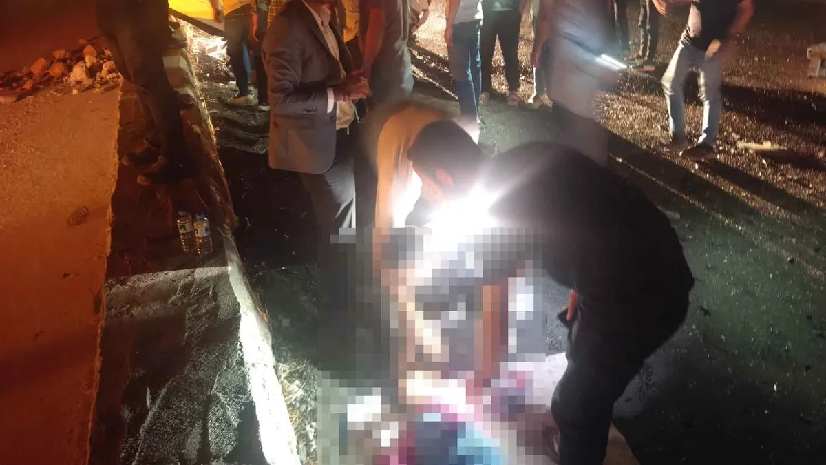 Şanlıurfa'da feci kaza! 1 ölü 5 yaralı