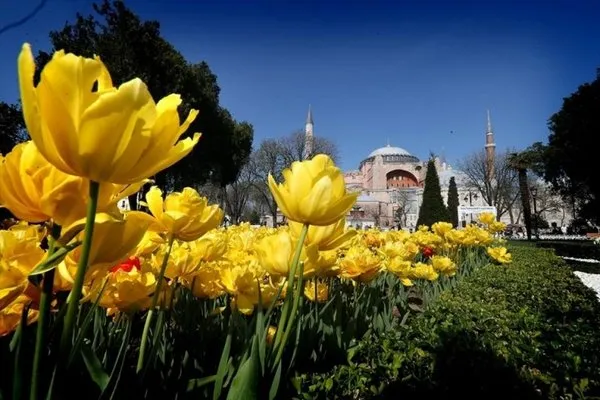 İstanbul'da lale devri!