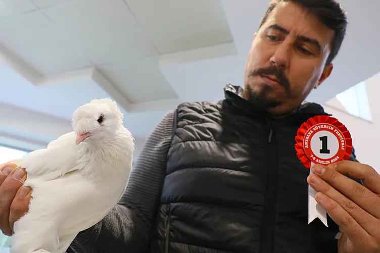 Bu güvercinler servet değerinde: Fiyatları 500 bin ile 1 milyon TL arasında değişiyor!