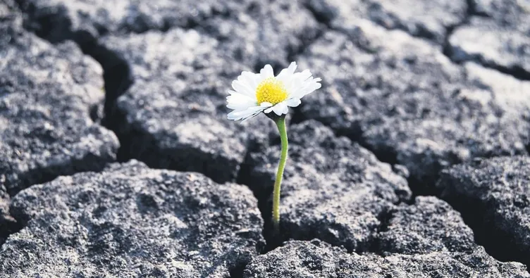 Şimdi dayanışma ve kucaklaşma zamanı