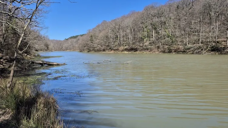 SON DAKİKA! Belgrad Ormanı'nda kaybolmuştu! Peyzaj mimarı Ece Gürel sağ olarak bulundu