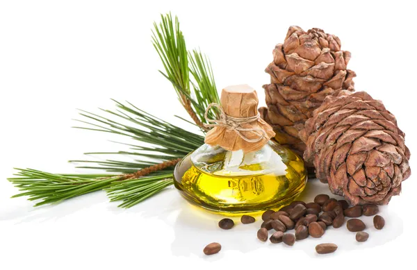 ciltteki-catlak-izlerini-yok-ediyor-bu-yaglari-karistirirsaniz-1636008084510.jpg