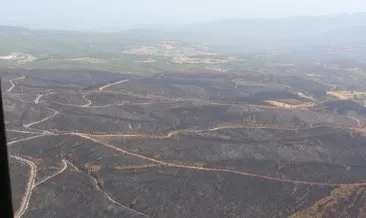 Yeşillendirme çalışmaları tam gaz! SABAH yanan bölgeleri havadan ve karadan görüntüledi #adana