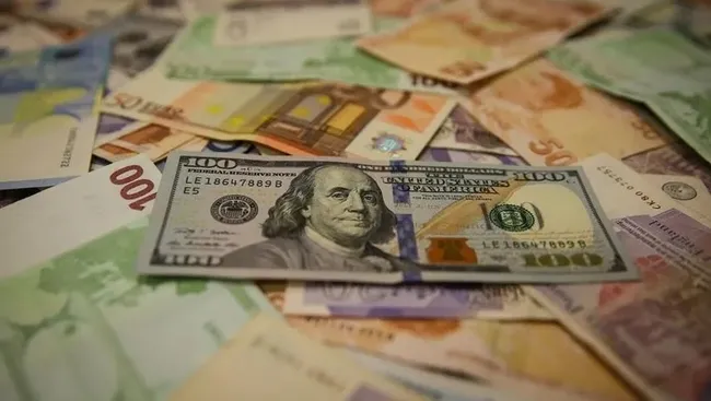 kanada-merkez-bankasi-politika-faizini-sabit-tuttu-1784126953569.jpeg