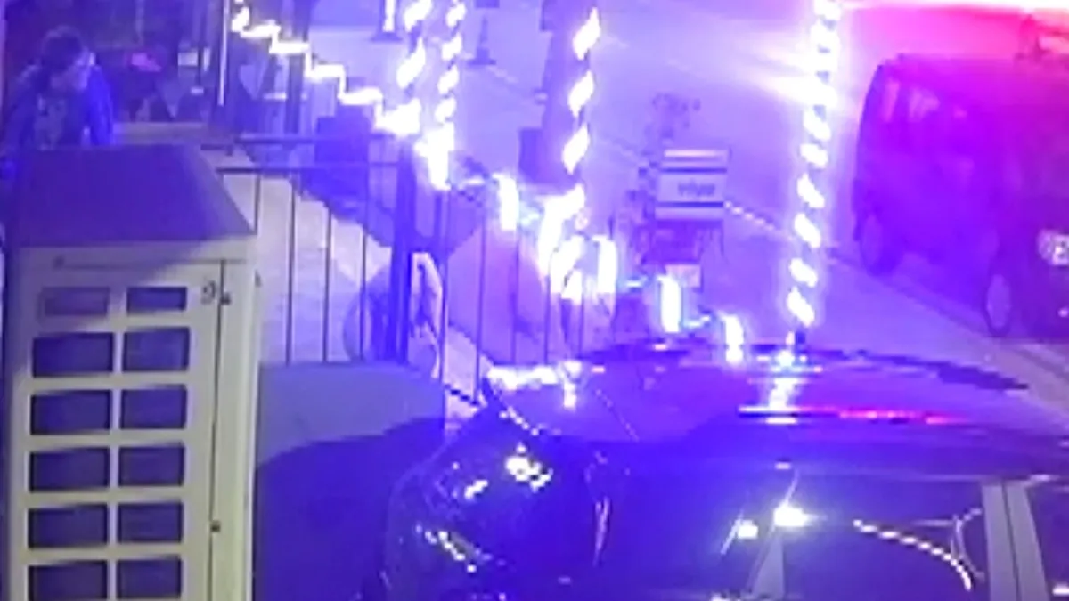 Petshop önündeki mama kutusunu çaldı… O anlar kamerada Petshop önündeki mama kutusunu çaldı… O anlar kamerada