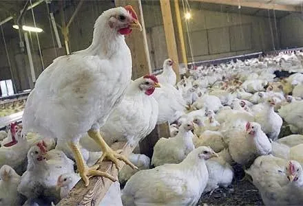 Tüm zamanların en iyi soruları