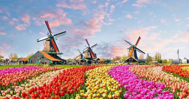 Hollanda vizesi nasıl alınır?