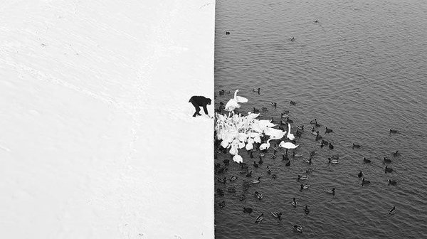 İlk bakışta kimse farkedemiyor! Photoshopsuz olduğuna inanamayacağınız fotoğraflar