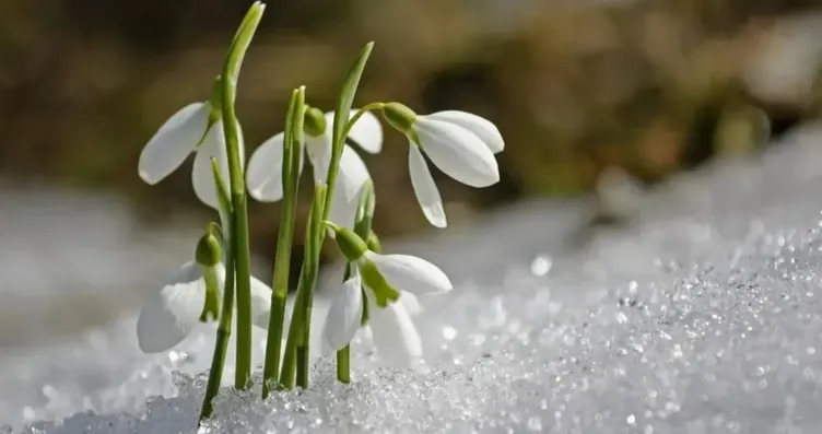 CEMRE DÜŞME TARİHLERİ 2026 | Havaya, suya,...