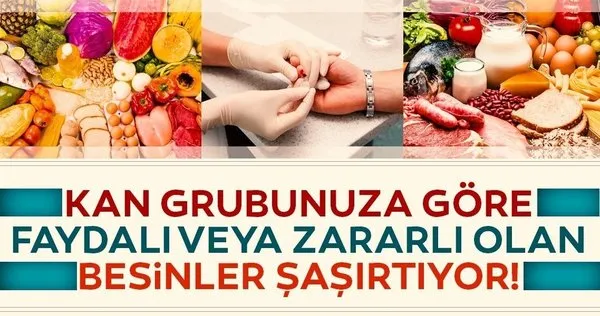 Kan grubunuza hangi besinler faydalı biliyor musunuz? İşte kan grubuna göre faydalı veya zararlı olan besinler!