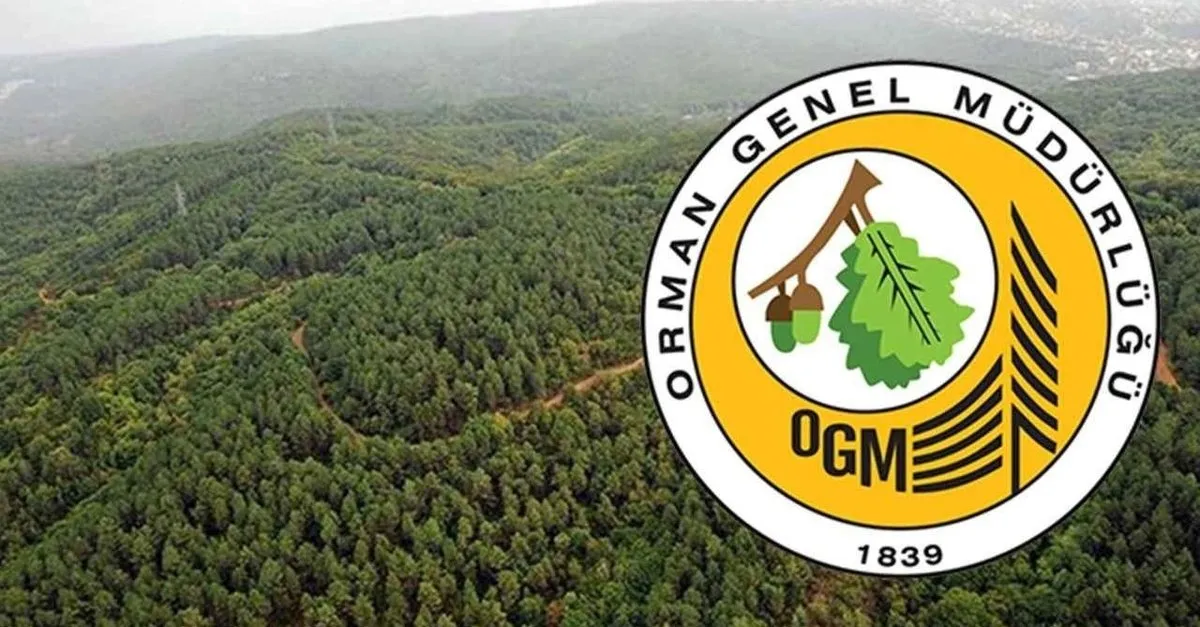 OGM 3477 personel alımı yapacak! Temizlik görevlisi, şoför... 2025 OGM personel alımı ne zaman, şartları neler?