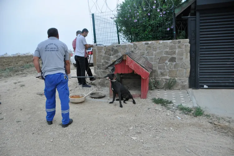 Pitbull ile korunan lüks villaya tefeci baskını