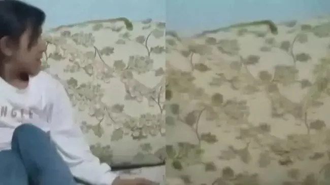 Bu köyde 15 yıldır korkudan uyuyamıyorlar! 3 kez düşük yaptı! Her yerden çıkıyor
