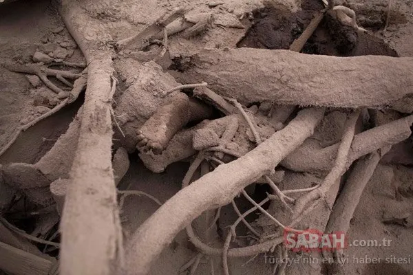 Korkunç görüntüler ortaya çıktı