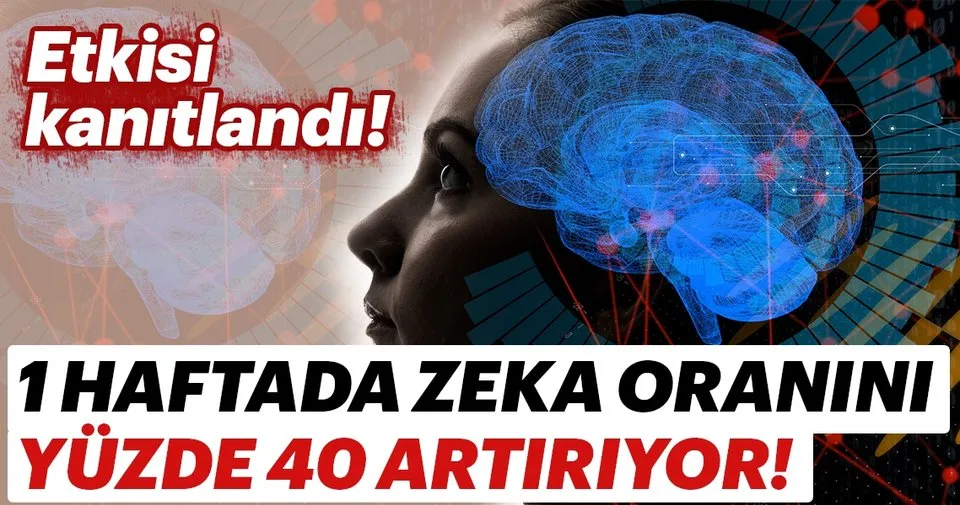 Bir Haftada Daha Zeki Olmanin Yollari Saglik Haberleri
