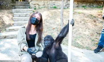 ‘Zeytin’ yuvasına kavuşuyor