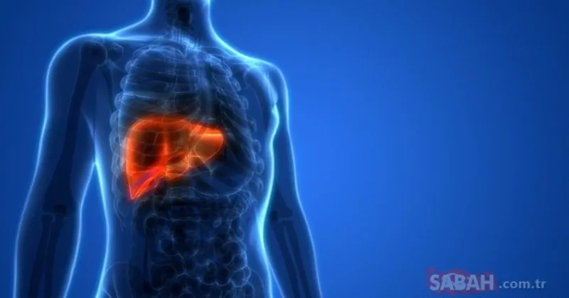 karaciger kanseri belirtileri nelerdir