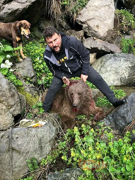 Vurulan yavru ayıya işkenceye suç duyurusu