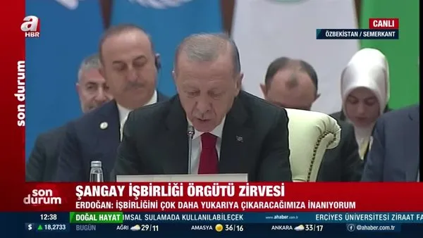 Başkan Erdoğan Şangay Zirvesi'nde 