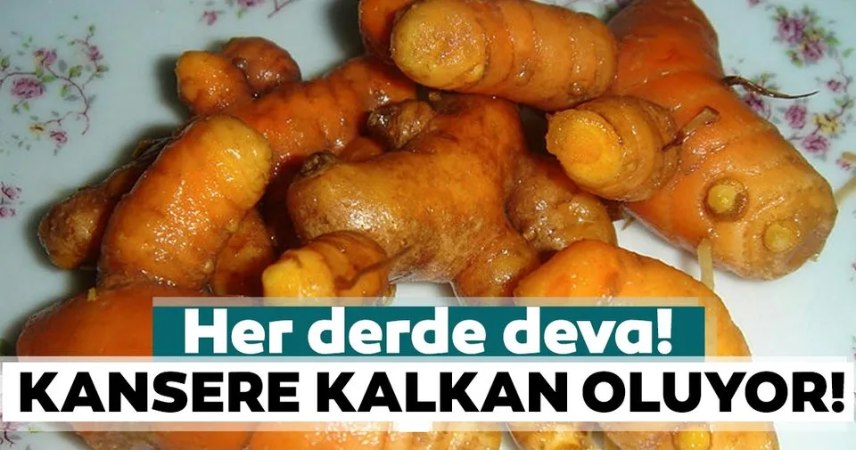 Zerdecalin 6 Mucizevi Faydasi Mahmure