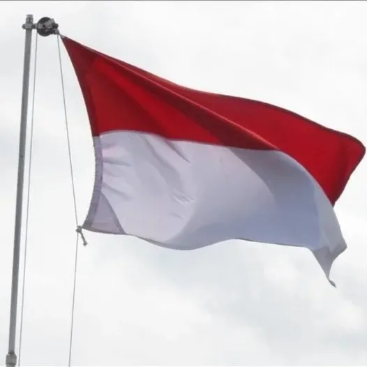 Endonezya nikel üretimini planlarını sürdürecek