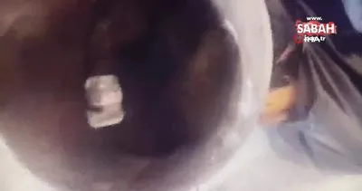 Şişli’de polisi gören şüpheli bonzaiyi sobaya attı | Video