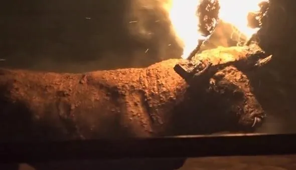 Böyle bir vahÅet görülmedi... Diri diri yaktılar...