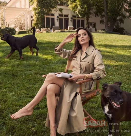 Angelina Jolie, Torino Film Festivali’nde ödüle layık görüldü