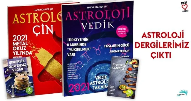 vedik astroloji