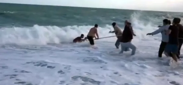 deniz-manzarasi-izlerken-dalga-ile-aciga-suruklendiler-2-kardes-kurtuldu-kuzenleri-oldu-1775161176302.jpg