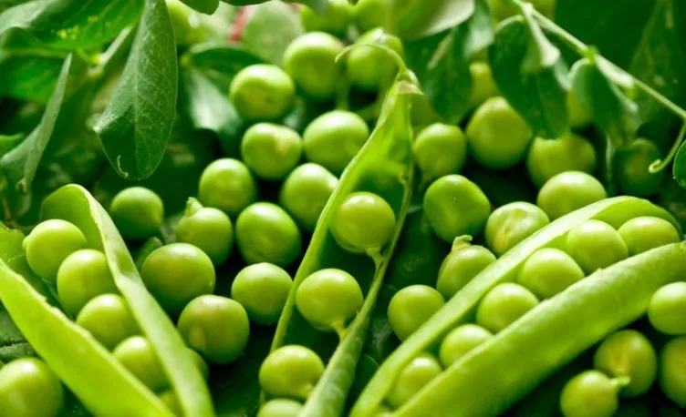 Ananas kendiliğinden organiktir ama şeftaliye dikkat!