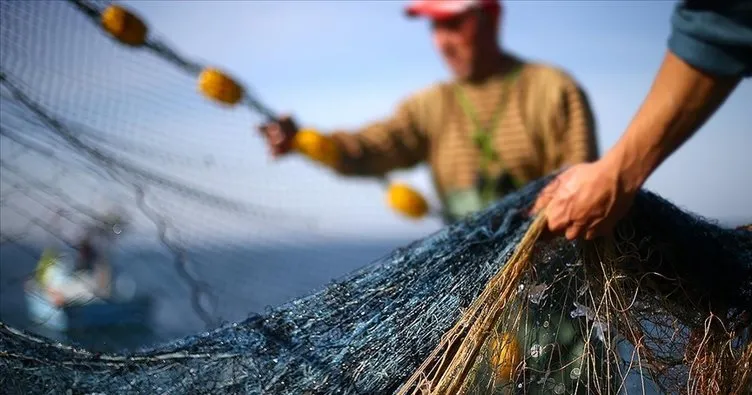 Yeni sezonda denizlerde beklenen bolluk balıkçıları umutlandırıyor