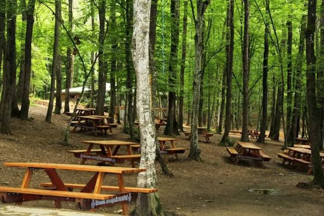 İstanbul’daki en güzel piknik alanları