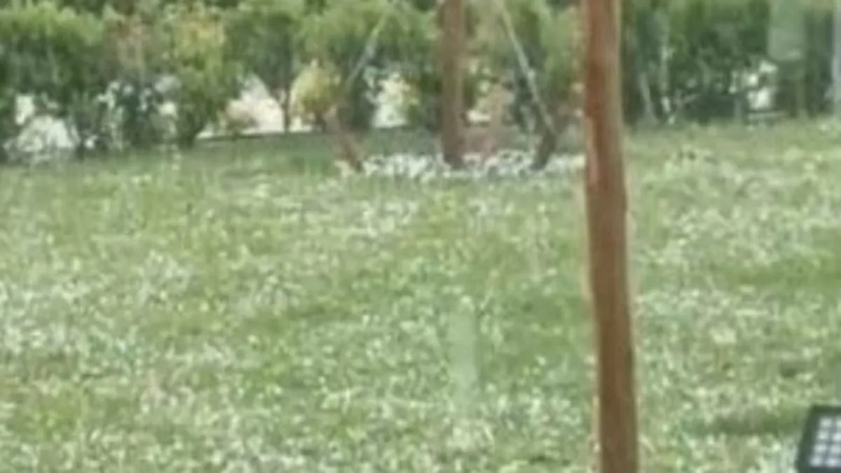 İstanbul’da kavurucu sıcaklar yaşanırken Silivri’de dolu yağışı etkili oldu İstanbul’da kavurucu sıcaklar yaşanırken Silivri’de dolu yağışı etkili oldu