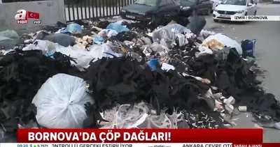 İzmir Bornova’da vatandaşları isyan ettiren çöp dağları tehlike saçıyor!